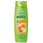 Sampon pentru toate tipurile de par, Wash&Go Fruits - 360 ml